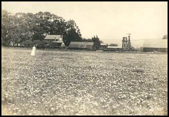 Description: Description: Nicholl Park trivia